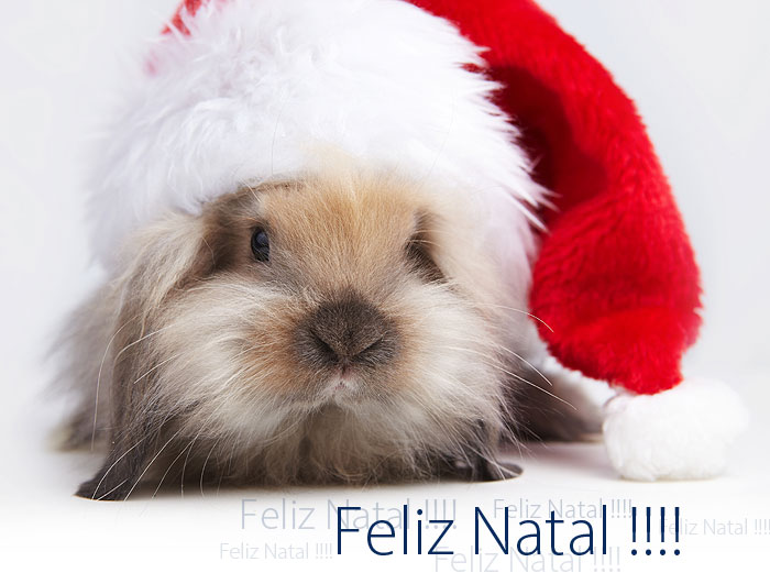 feliz_natal_2013