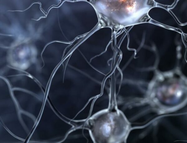 conexões de neurônios